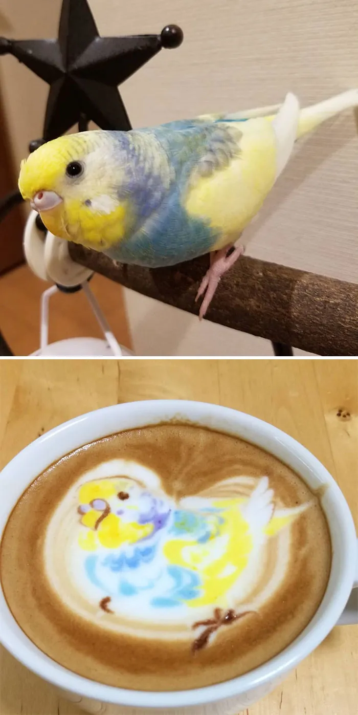 30 Pics Of Amazing Bird Latte Art By Japanese Artist