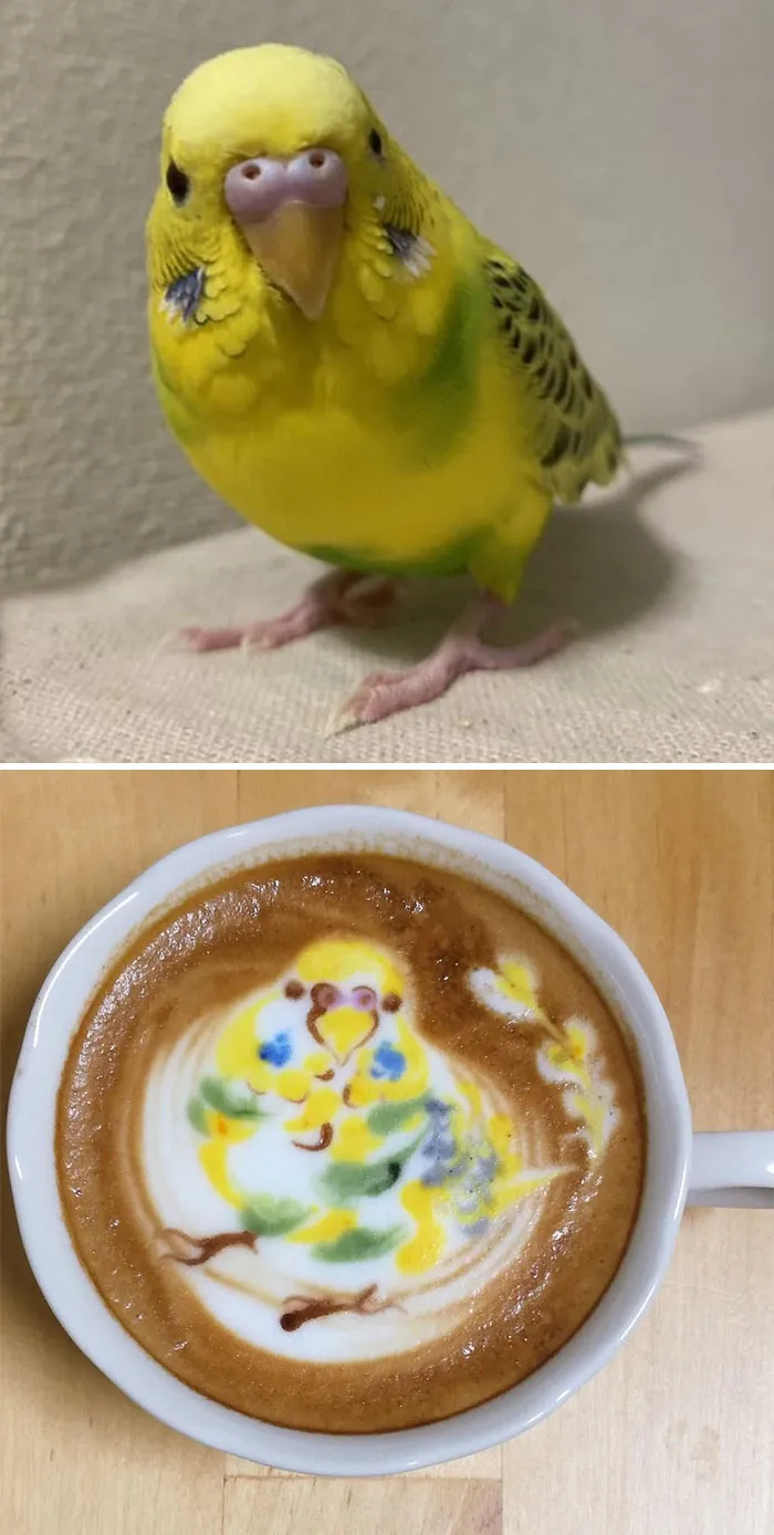 30 Pics Of Amazing Bird Latte Art By Japanese Artist