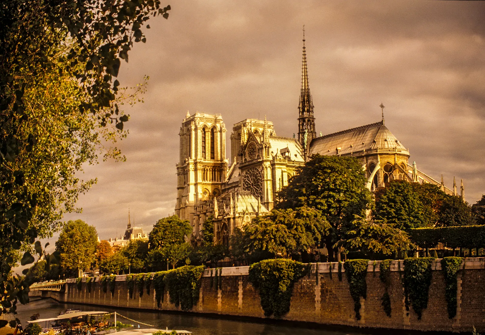 Notre Dame Will Rise Again From The Ashes !