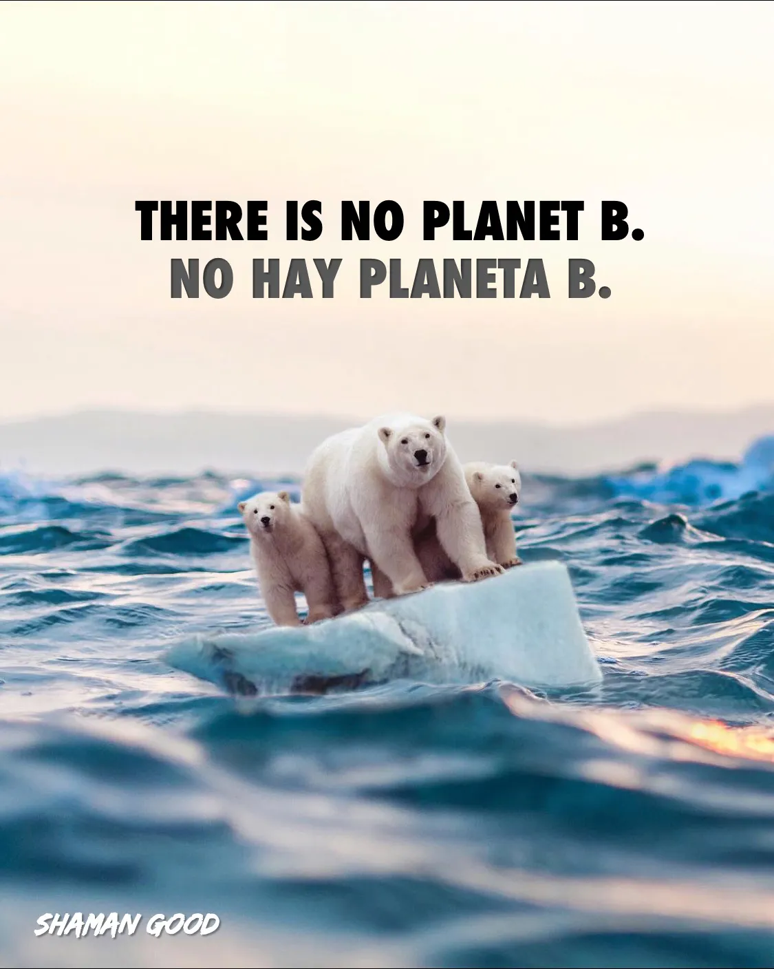 #thereisnoplanetb