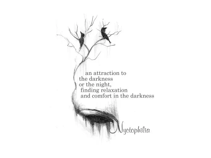 Nyctophilia