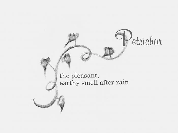 Petrichor