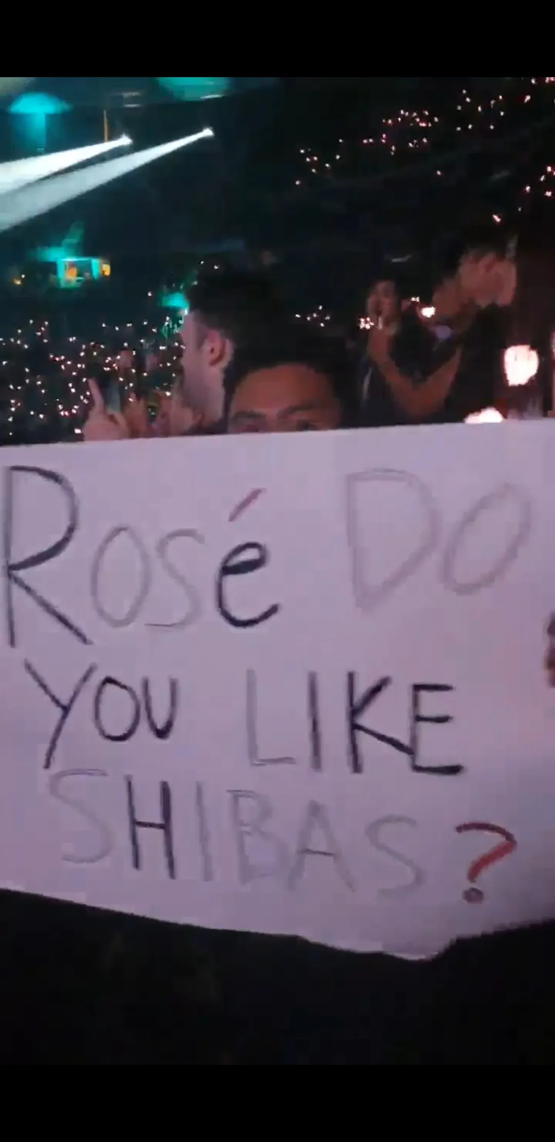 Rosé Likes Shibas!