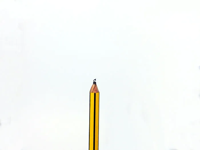 I Carve On Pencil Leads 2 Mm High