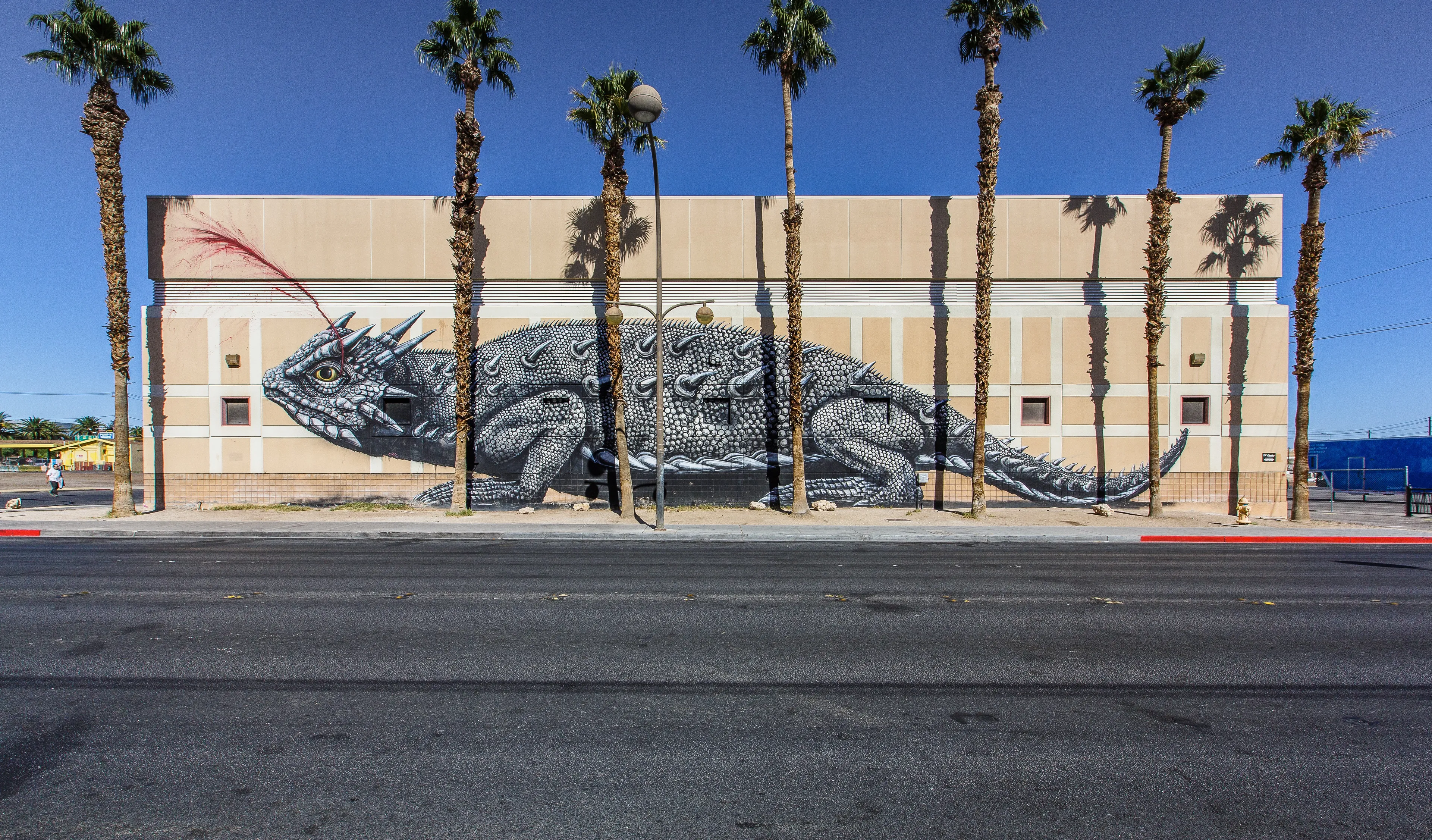 New Photography Book Street Art Las Vegas