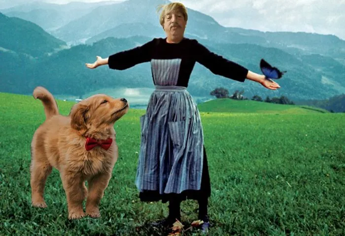 Picture Of A Beautiful Puppy With A Butterfly Inspired A Photoshop Battle And Here Are 11 Of The Best Examples