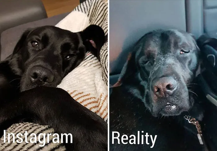 Esta chica muestra Instagram VS la realidad en 20 imágenes