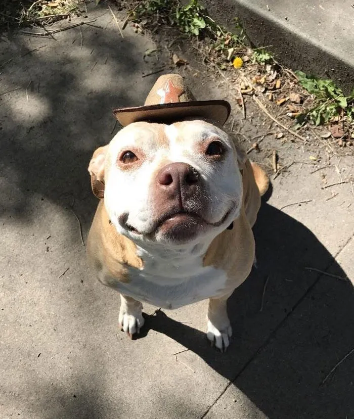 This Lil’ Girl’s Face Has Gotten More White Every Year But Her Smile Hasn’t Changed