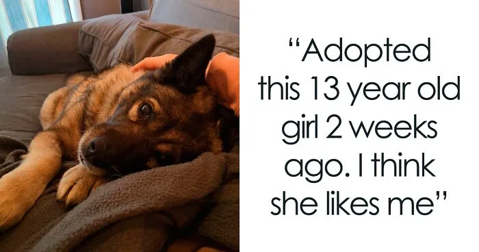 30 Wholesome Pics Of Senior Good Boys