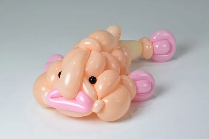 Blobfish