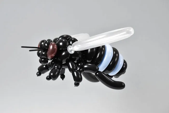 Bee (Nomia (Hoplonomia) Incerta)