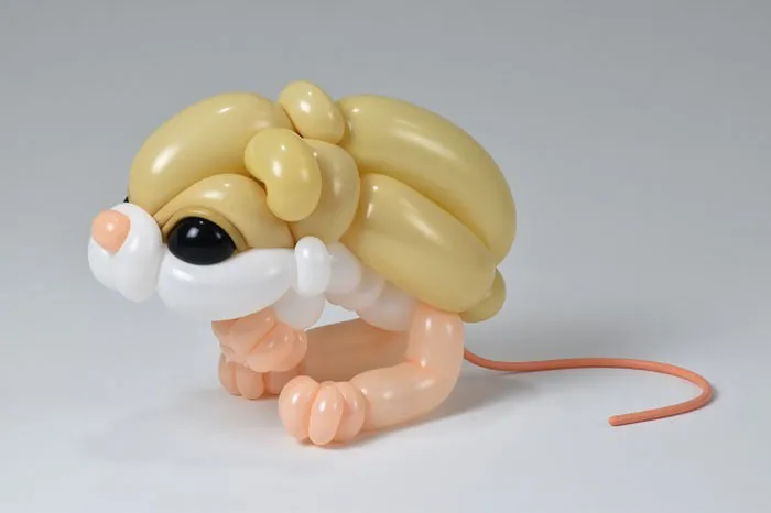 Pygmy Jerboa