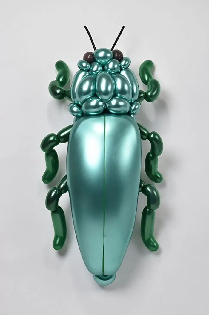 Jewel Beetle