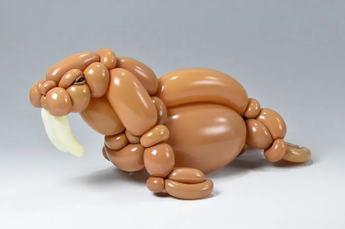 Walrus