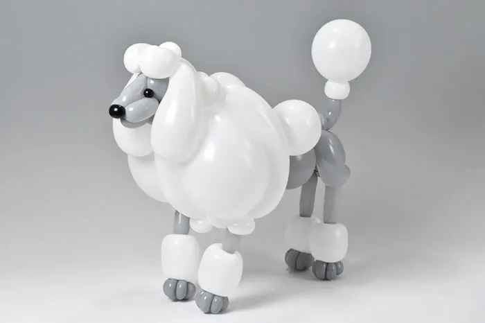 Poodle