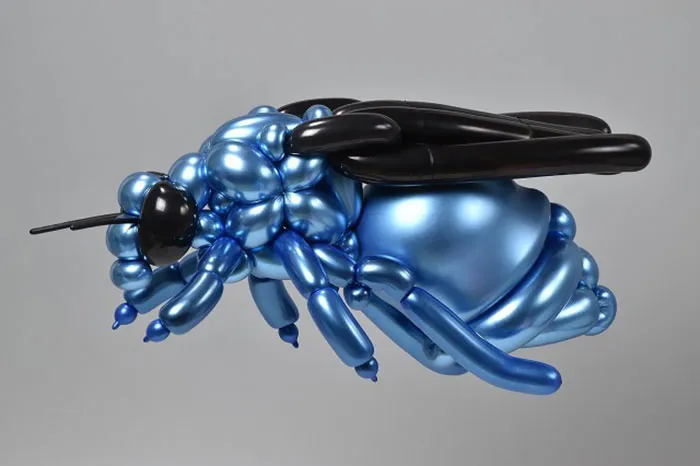 Cuckoo Wasp