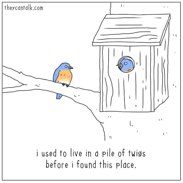 I Show What Birds Would Say If They Could Talk (26 Pics)