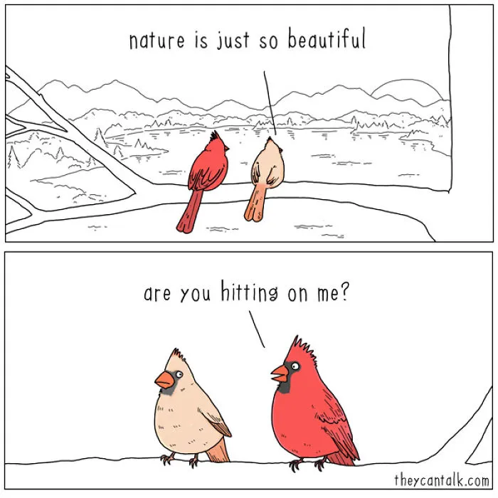 I Show What Birds Would Say If They Could Talk (26 Pics)