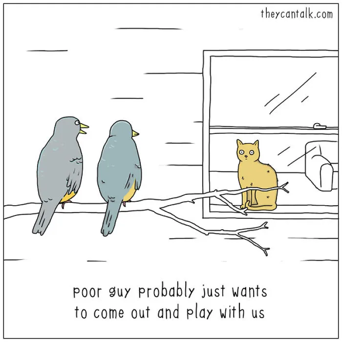 I Show What Birds Would Say If They Could Talk (26 Pics)