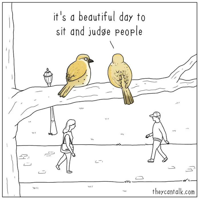 I Show What Birds Would Say If They Could Talk (26 Pics)