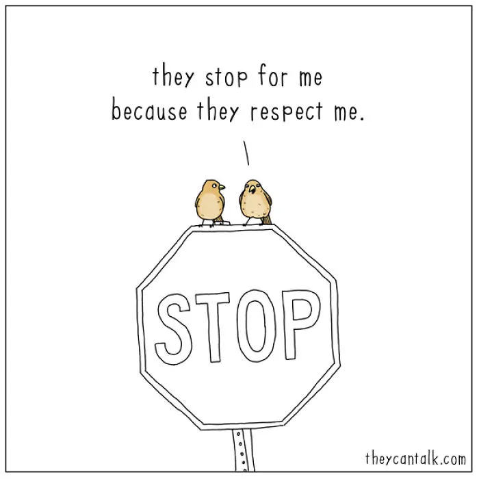 I Show What Birds Would Say If They Could Talk (26 Pics)