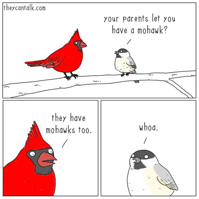 I Show What Birds Would Say If They Could Talk (26 Pics)