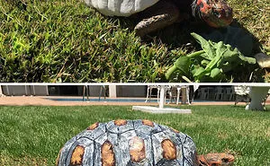 30 Times People Used 3D Printers And Created Brilliant Stuff