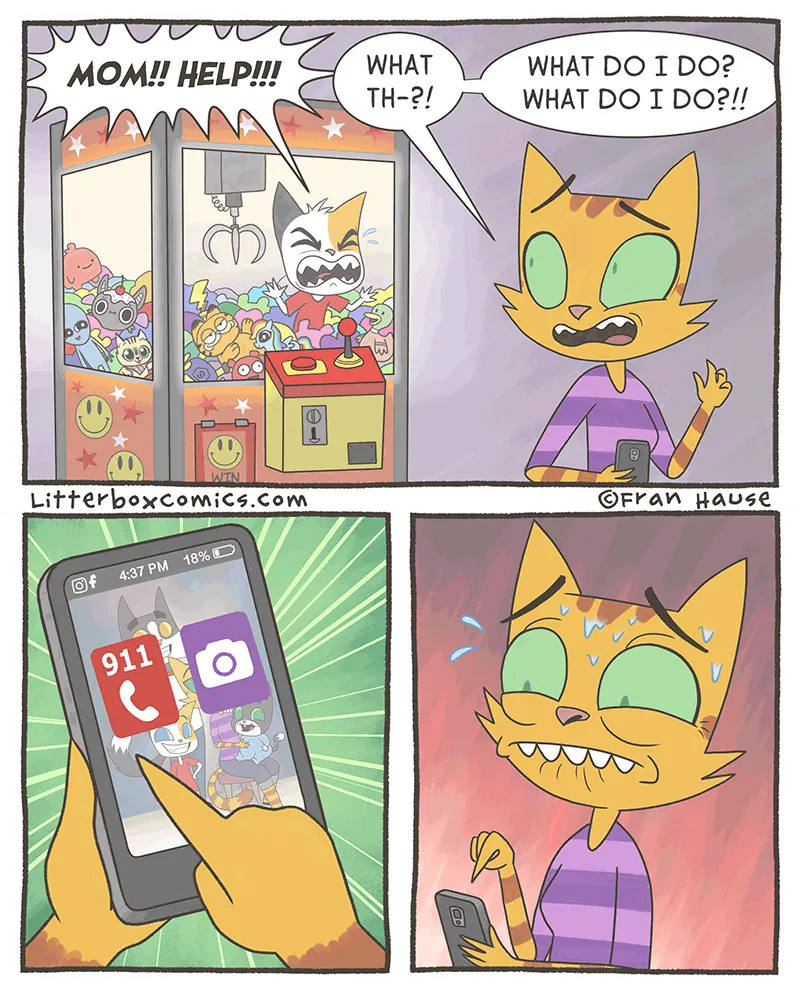 Priorities