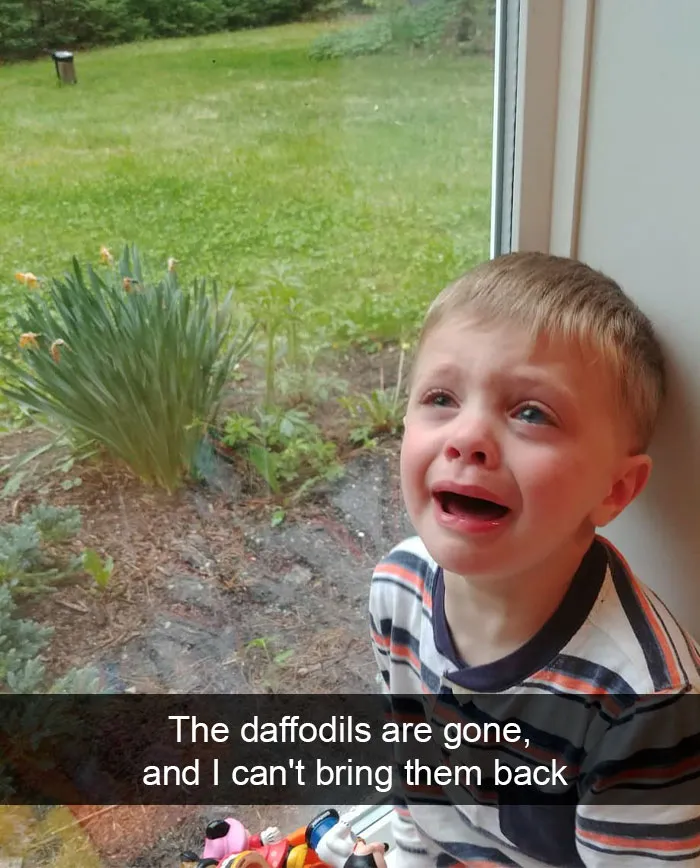 The Daffodils Are Gone, And I Can't Bring Them Back