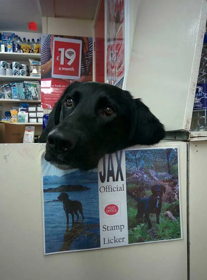 Jax lame los sellos en la oficina de correos
