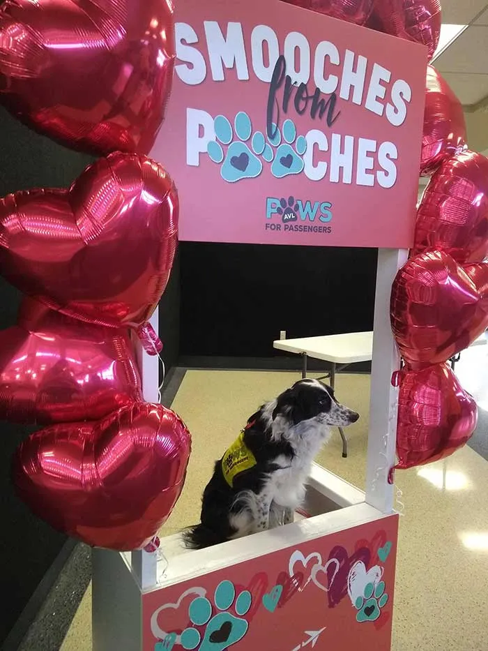 Esta es Hope, y en San Valentín daba besos y caramelos en el aeropuerto