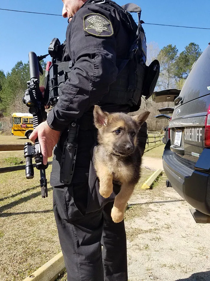 Perrito policía