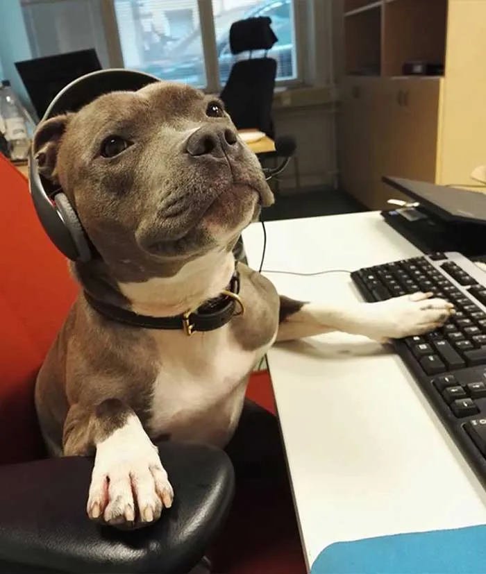 Are You Happy With Your Current Service Provider?