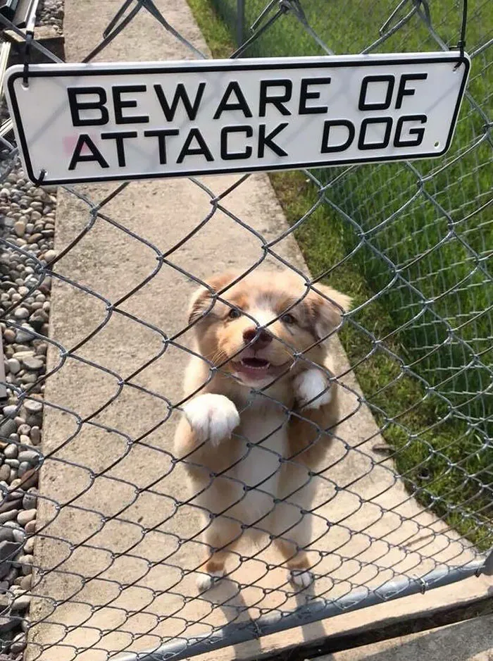 I Think I'll Take My Chances