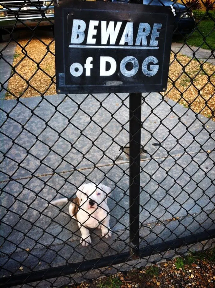 Beware Of This Cutie