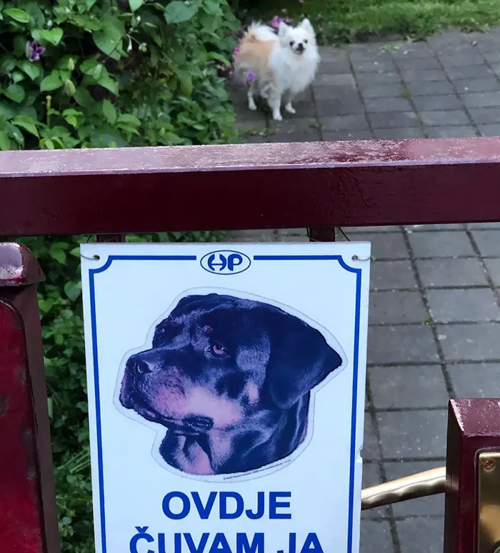 Publicidad engañosa