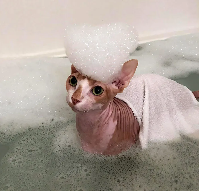 Took A Quick Break From Killing Alliance Filth To Take A Bath