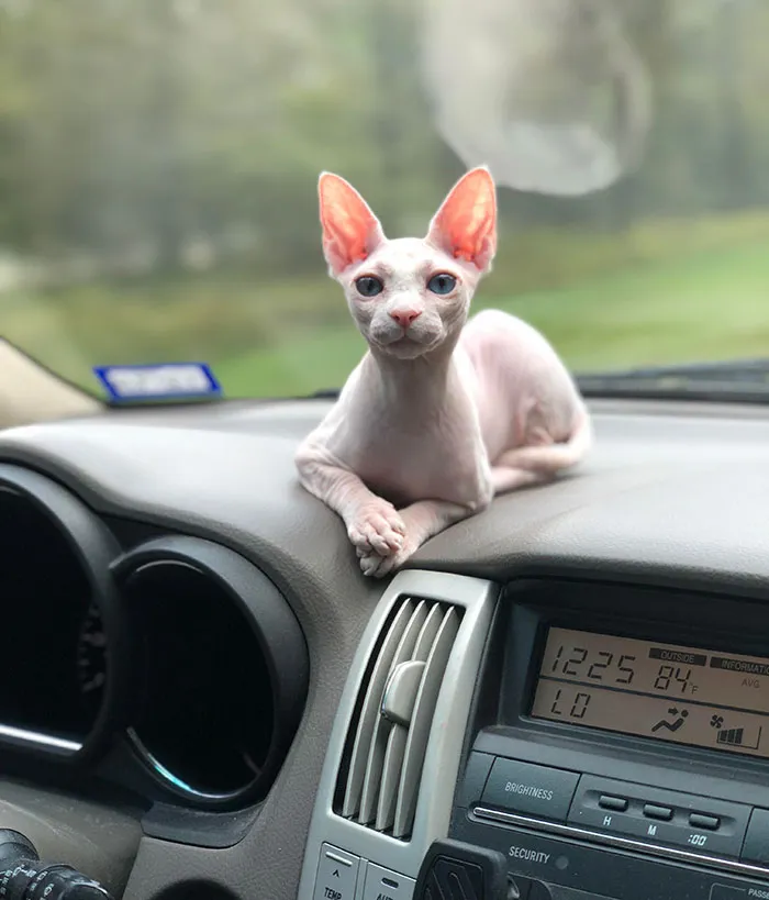 Charlotte Loves To Go On Trips