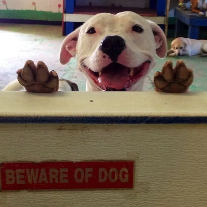 The Ferocious Lucy!!