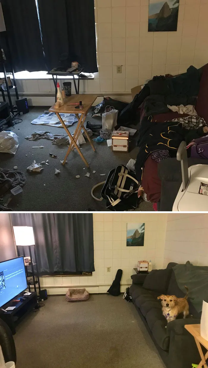 My Neckbeard Nest, After Months Of Not Caring, I Looked Down And Realized What This Was Doing To My Mental Health