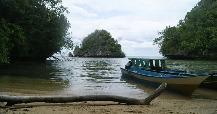 I Went To Fakfak To Enjoy The Beach, Cave, And Saw Bats
