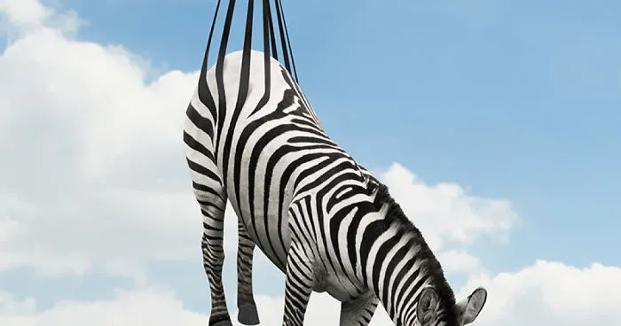 Artist Uses Animals To Make Amazing Digital Arts