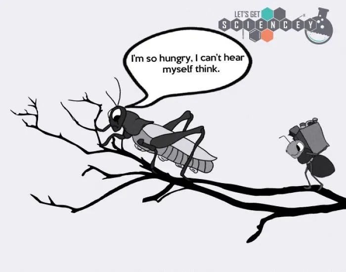 Here Are 29 Ridiculous Science Facts That We Illustrated