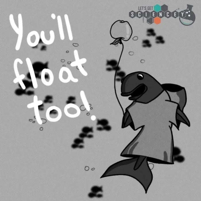 Here Are 29 Ridiculous Science Facts That We Illustrated