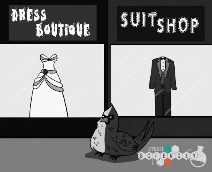 Here Are 29 Ridiculous Science Facts That We Illustrated