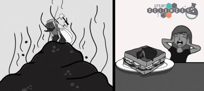 Here Are 29 Ridiculous Science Facts That We Illustrated