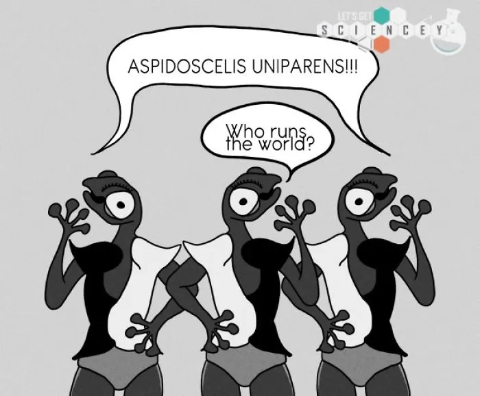 Here Are 29 Ridiculous Science Facts That We Illustrated