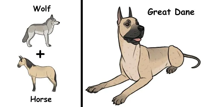 Artist Imagines The Origins Of 'Unique Dog Breeds' And They're Ridiculously Hilarious