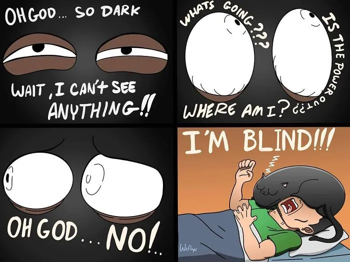 30 Comics That Show What Living With A Cat Is Really Like