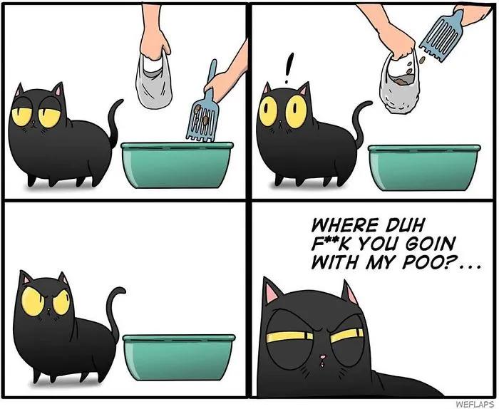 30 Comics That Show What Living With A Cat Is Really Like